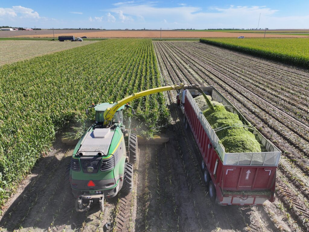 A tractor is pulling a trailer full of green beans.