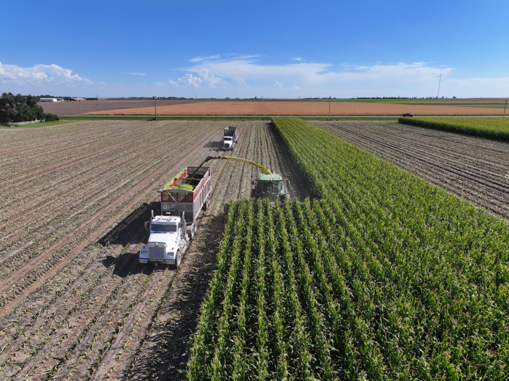 A tractor pulling a trailer in the middle of an open field.