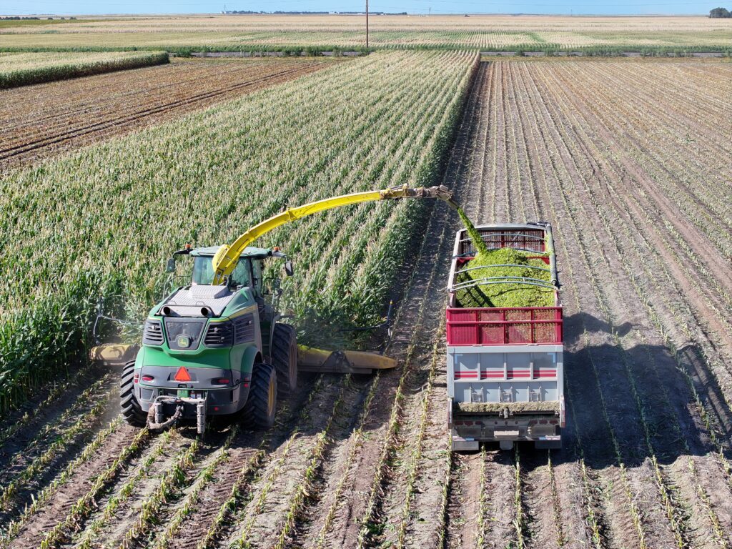 A tractor is pulling a trailer full of plants.